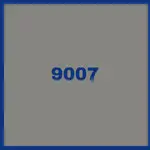 9007 grey aliminium.jpg