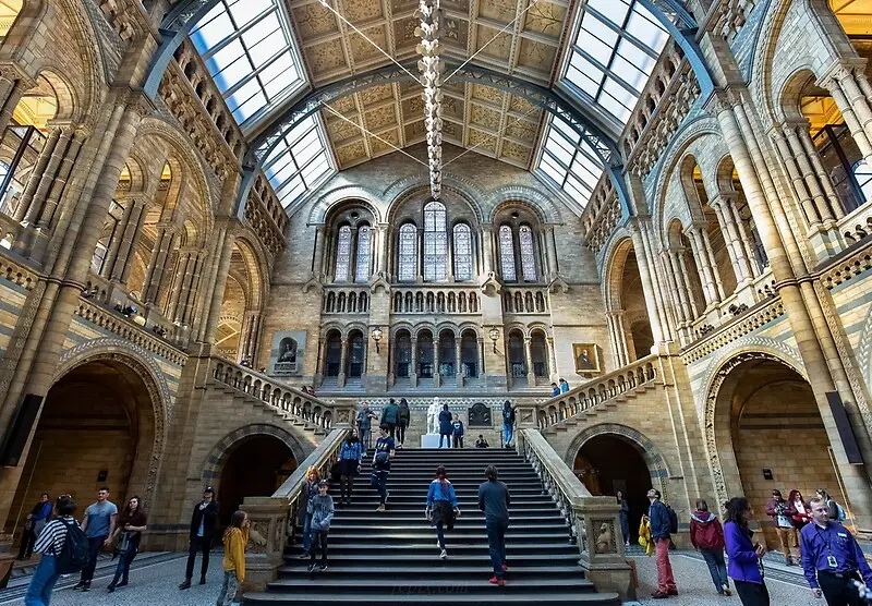 natural history museum.jpg
